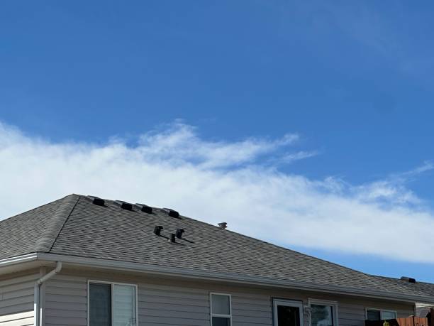 Best Chimney Flashing Repair  in Kadelphia, AR